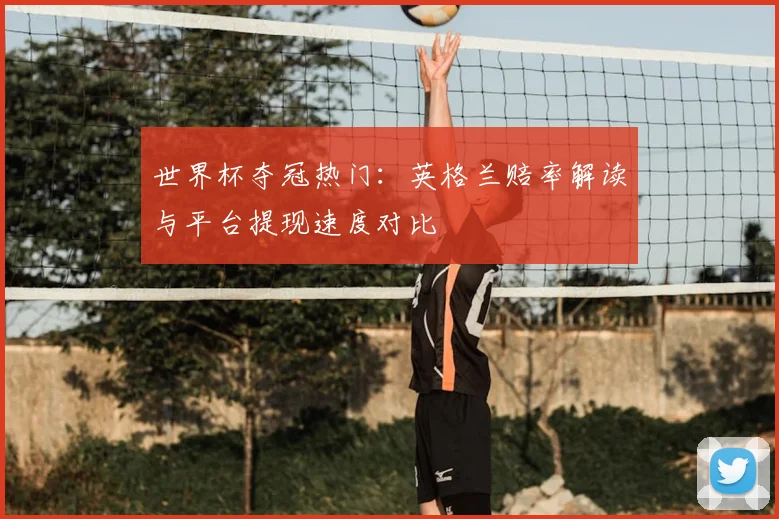 世界杯夺冠热门：英格兰赔率解读与平台提现速度对比