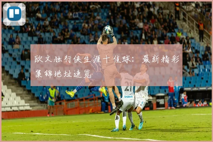 欧文独行侠生涯十佳球：最新精彩集锦地址速览